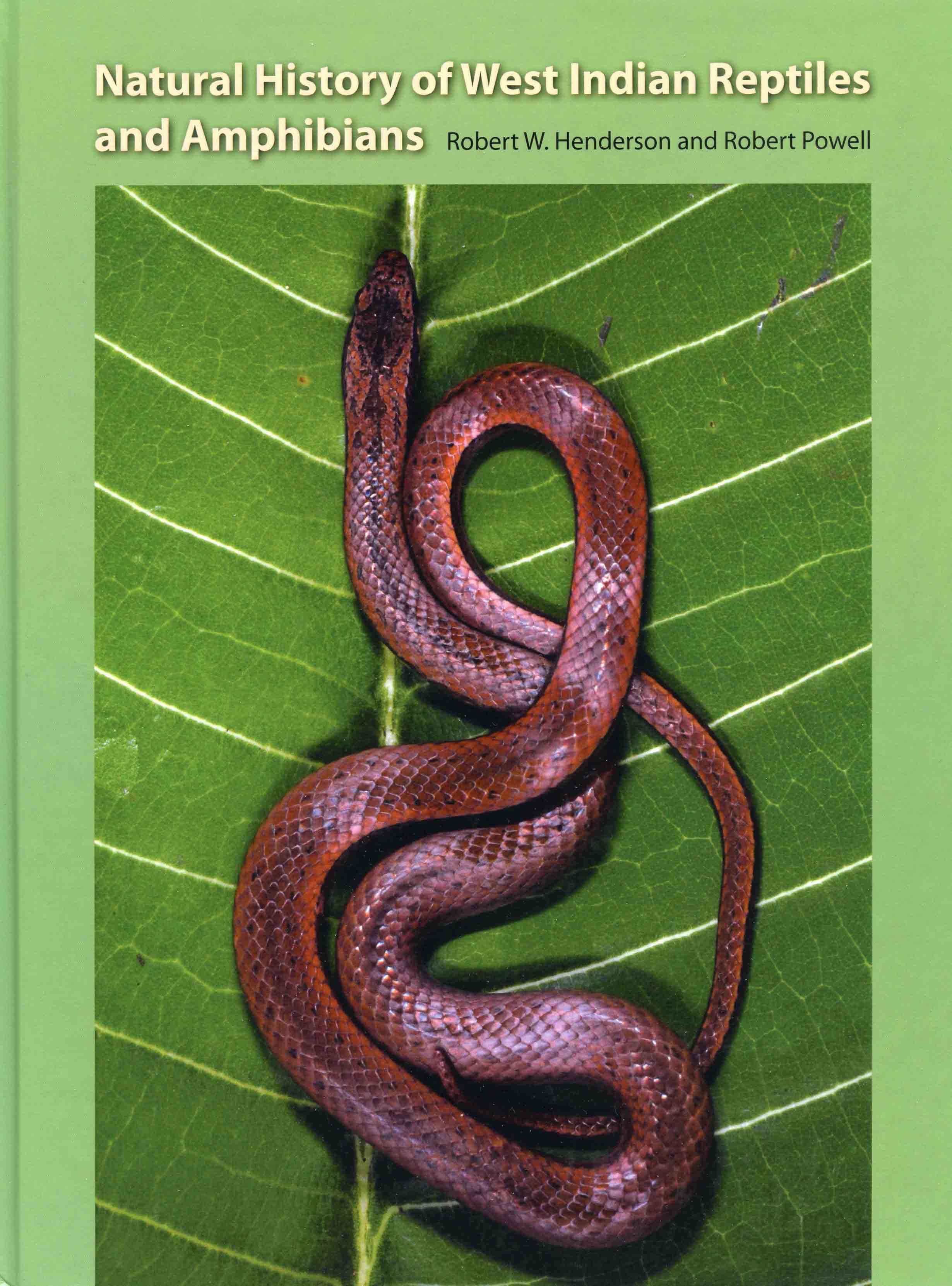 Image for Natural History of West Indian Reptiles and Amphibians,